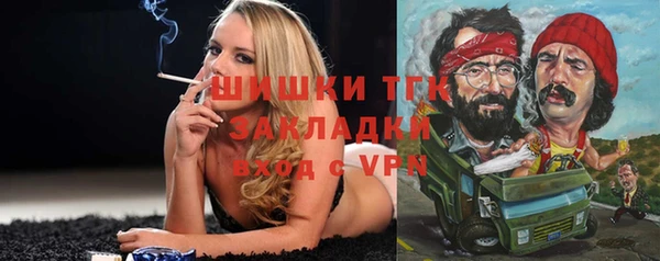 PSILOCYBIN Балахна