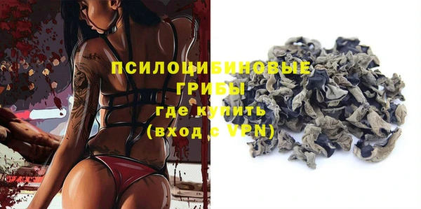PSILOCYBIN Балахна