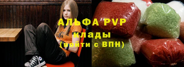 PSILOCYBIN Балахна