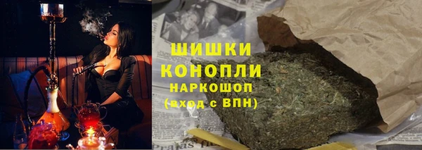 PSILOCYBIN Балахна