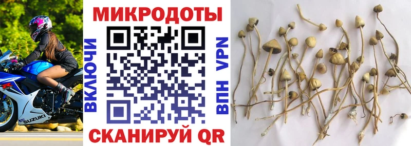 дарк нет как зайти  Новый Оскол  Галлюциногенные грибы прущие грибы  дарнет шоп 